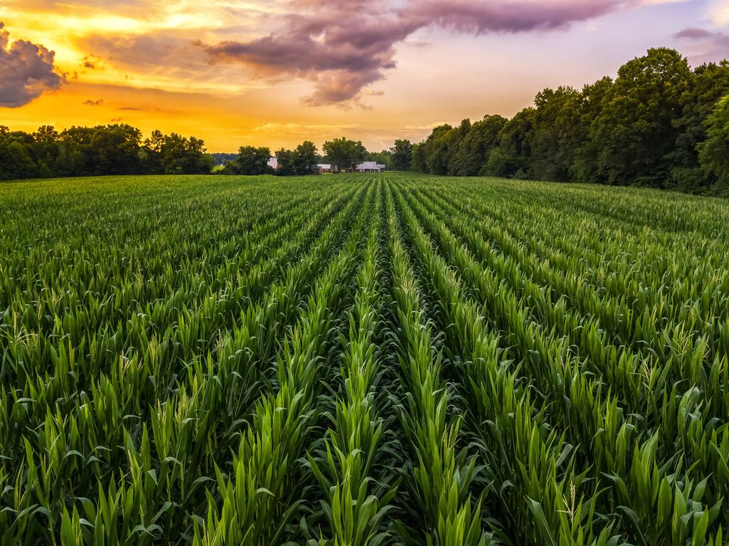 Multi-Peril Crop Insurance (MPCI)