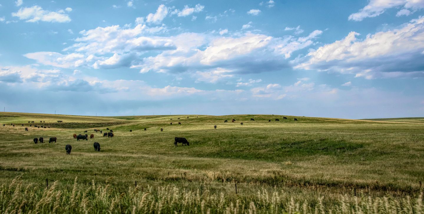 Pasture, Rangeland, Forage (PRF)